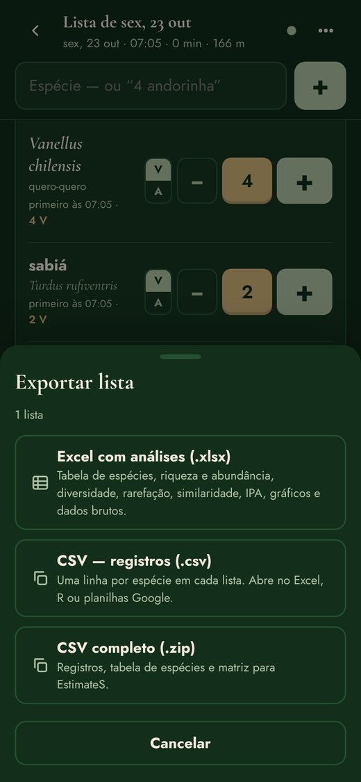 Escolha do formato de exportação